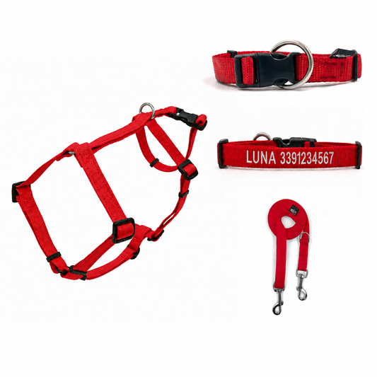 Kit uscita sicura - Pettorina ad H, collare ricamato e guinzaglio doppio moschettone - Connecto.dog
