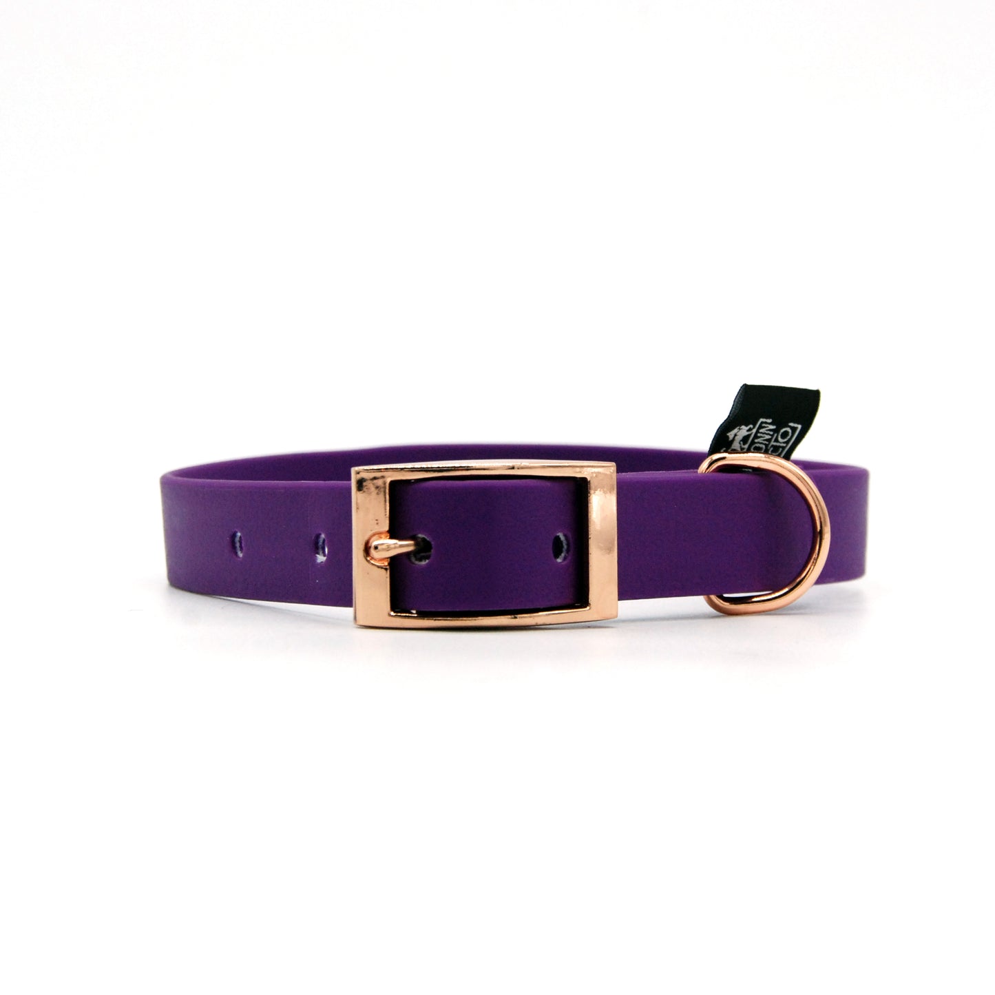 Collare impermeabile 20mm Viola con fibbia in alluminio - Connecto.dog