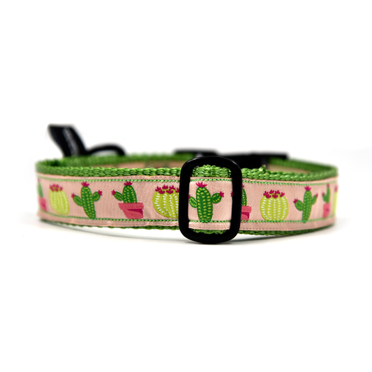 OhMyDog! Collare per cani Cactus on Camel