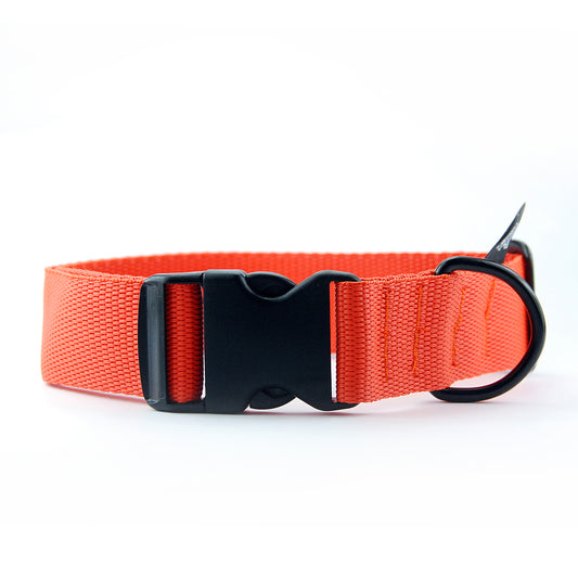 Collare per cani 4cm in polipropilene - Connecto.dog