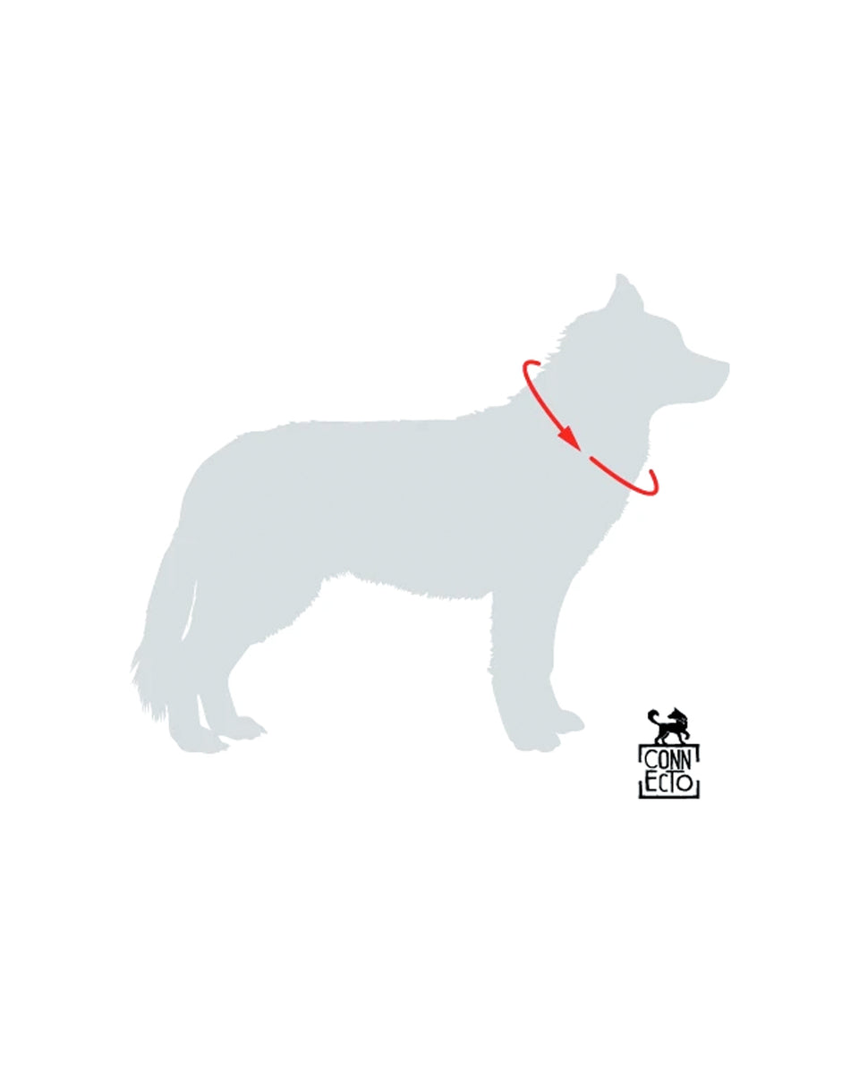 Collare per cani con imbottitura in neoprene Verde Bosco – Yosemite Collection - Connecto.dog