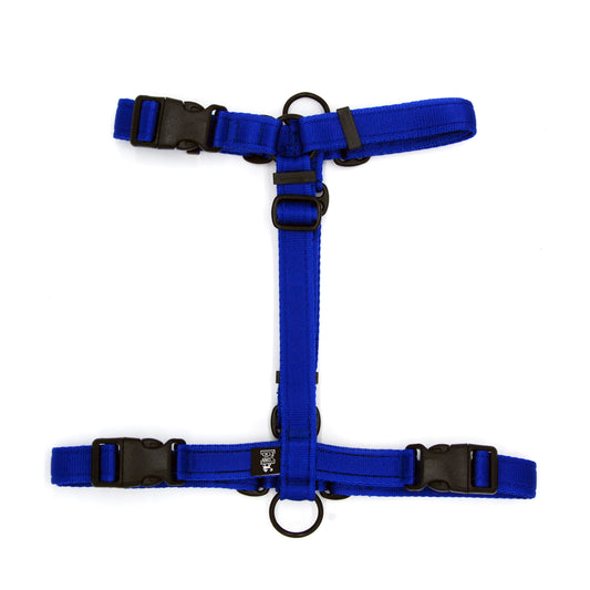 Pettorina ad H per cane Embrace - Connecto.dog