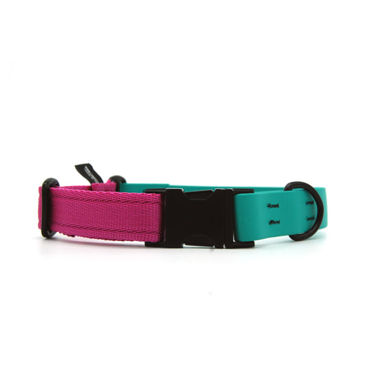 Carnival collare per cani regolabile in biothane Verde Smeraldo e polipropilene - Connecto.dog