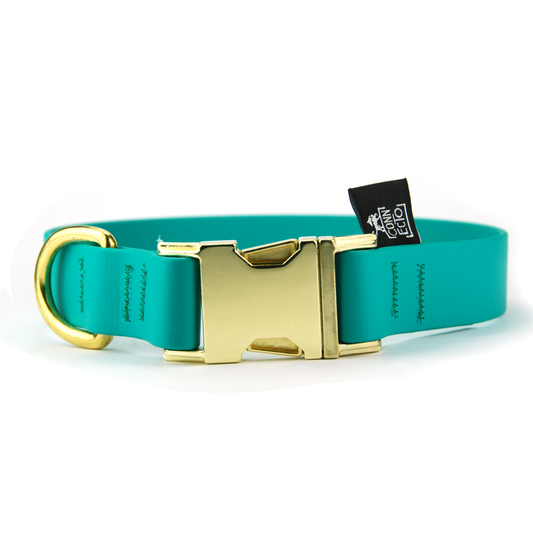 Collare per cani fisso in Biothane® verde smeraldo - Connecto.dog