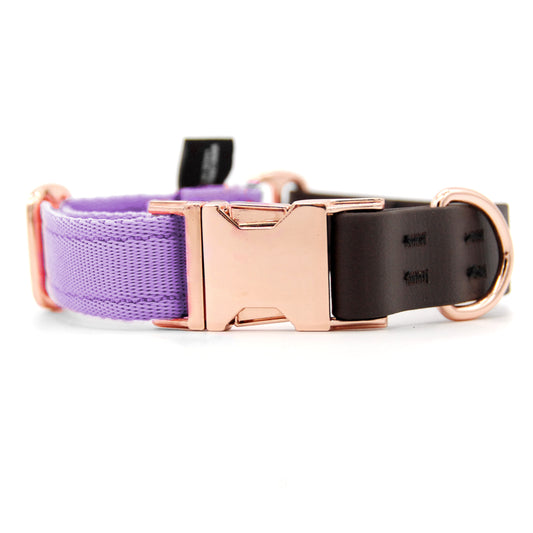 Carnival collare per cani regolabile in biothane marrone e polipropilene - Connecto.dog