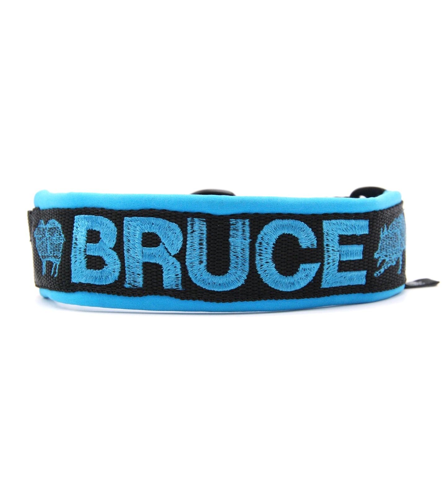 Collare martingala per cane con imbottitura e guinzaglio con maniglia imbottita - Connecto.dog