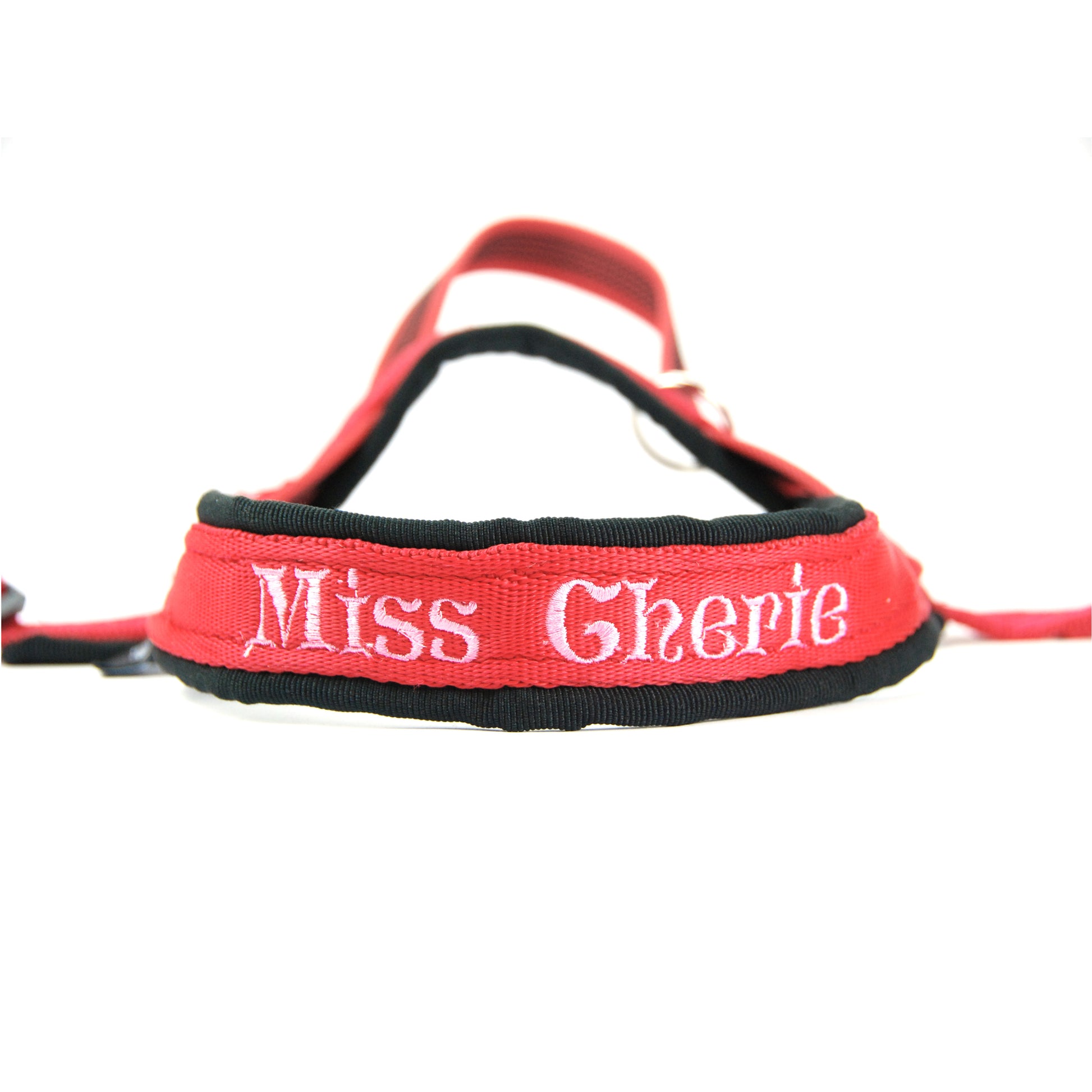 Ricamo su pettorina o collare - Connecto.dog