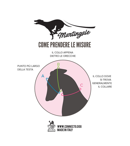 Collare martingala per cane con imbottitura e guinzaglio con maniglia imbottita - Connecto.dog