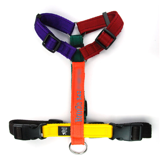 Ricamo su pettorina o collare - Connecto.dog