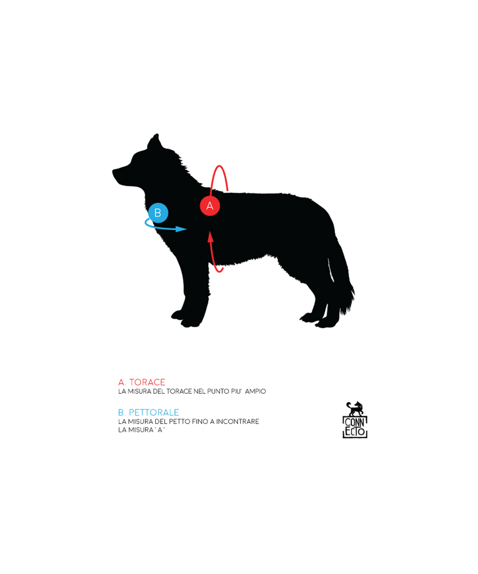 Pettorina Norvegese per cani Multicolore – Yosemite Collection - Connecto.dog