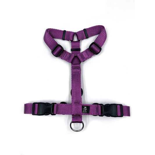 Pettorina ad H per cane - Connecto.dog