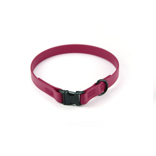 Collare per cani fisso in Biothane® Wine - Connecto.dog