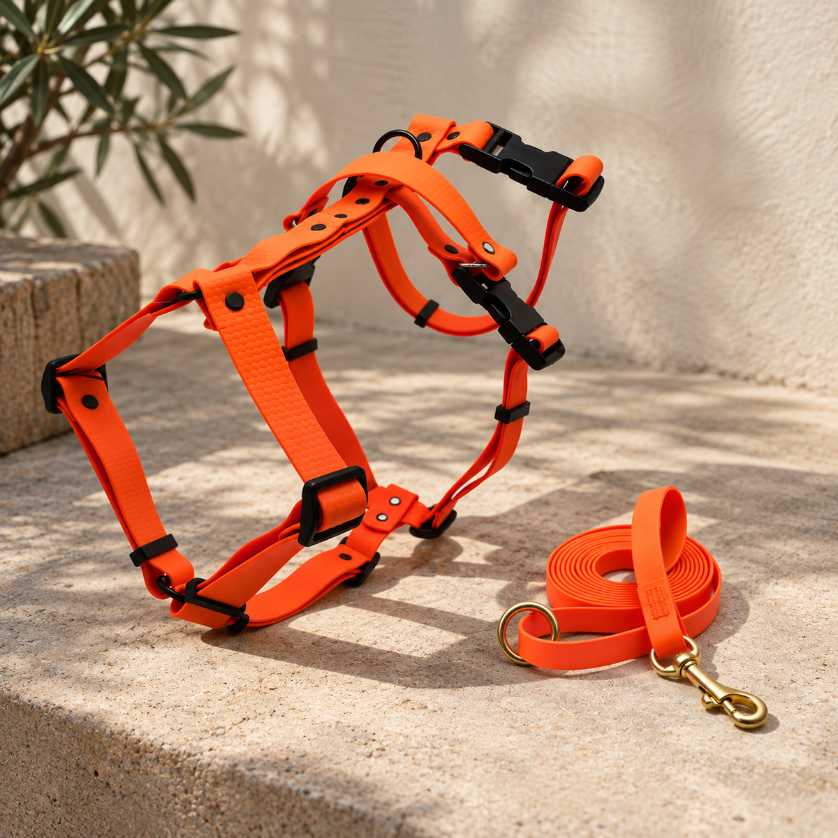 AquaTrail Explorer Set impermeabile per cani