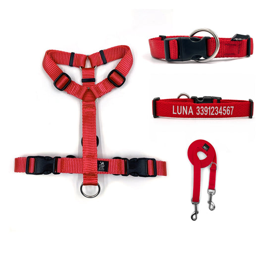 Kit uscita sicura - Pettorina ad H, collare ricamato e guinzaglio doppio moschettone - Connecto.dog
