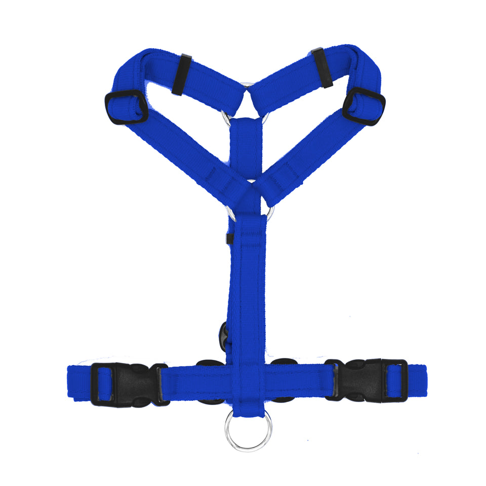 FUORI TUTTO Pettorina ad H polipropilene cushion - Connecto.dog