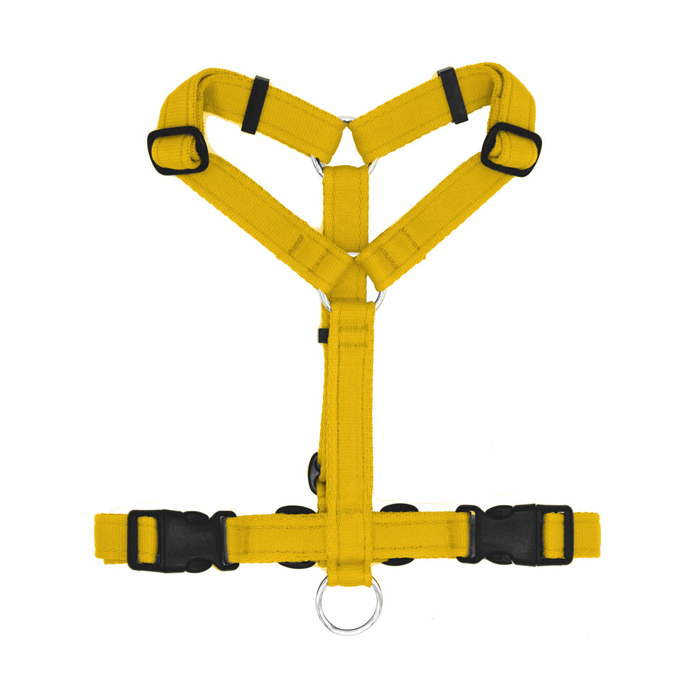 FUORI TUTTO Pettorina ad H polipropilene cushion - Connecto.dog