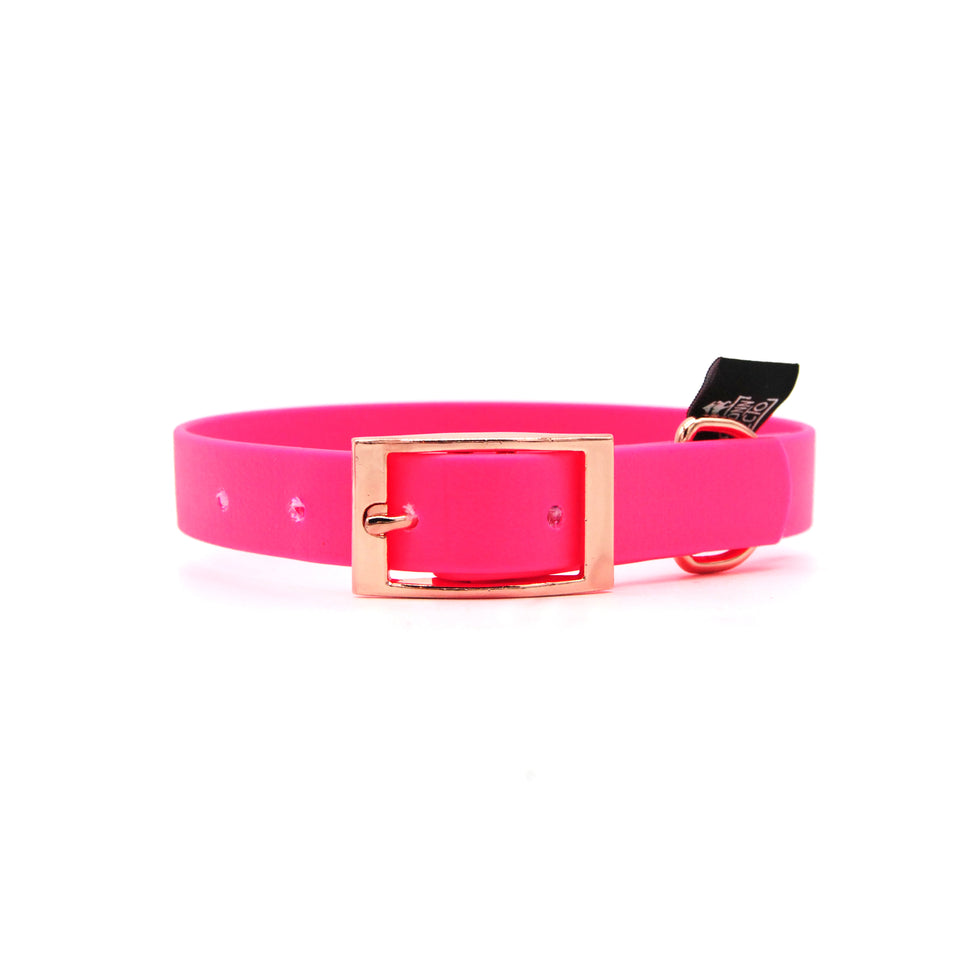 Collare in Biothane 20mm Fucsia regolabile 24cm-32cm con fibbia Oro Rosa - Connecto.dog