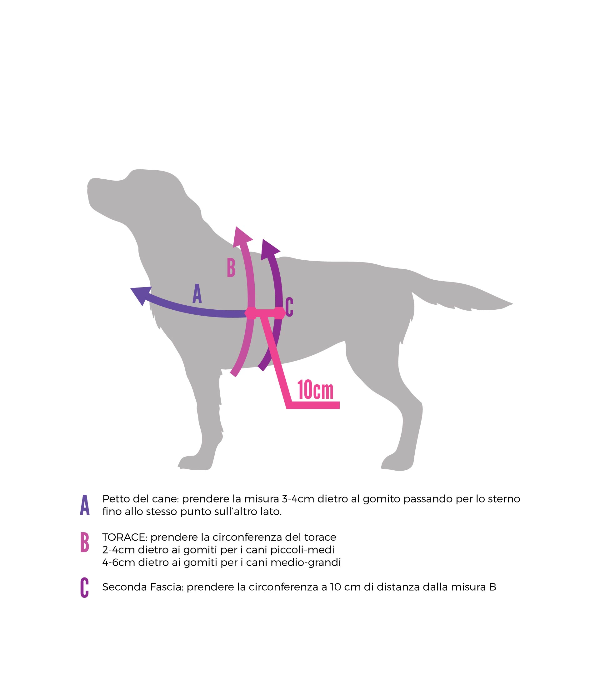 Pettorina Antifuga Norvegese Iditarod - Connecto.dog