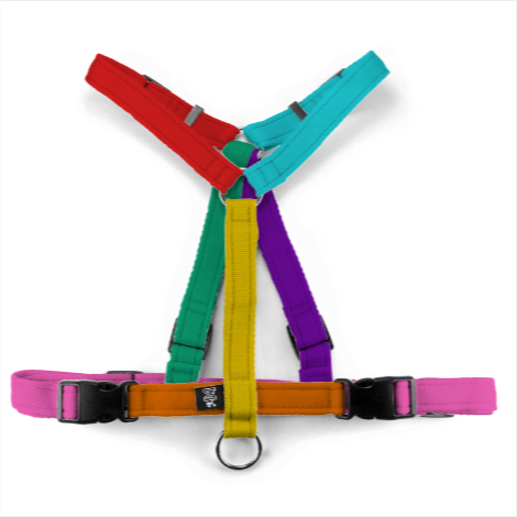 Pettorina comfort fit Virtuosa Multicolore - Connecto.dog