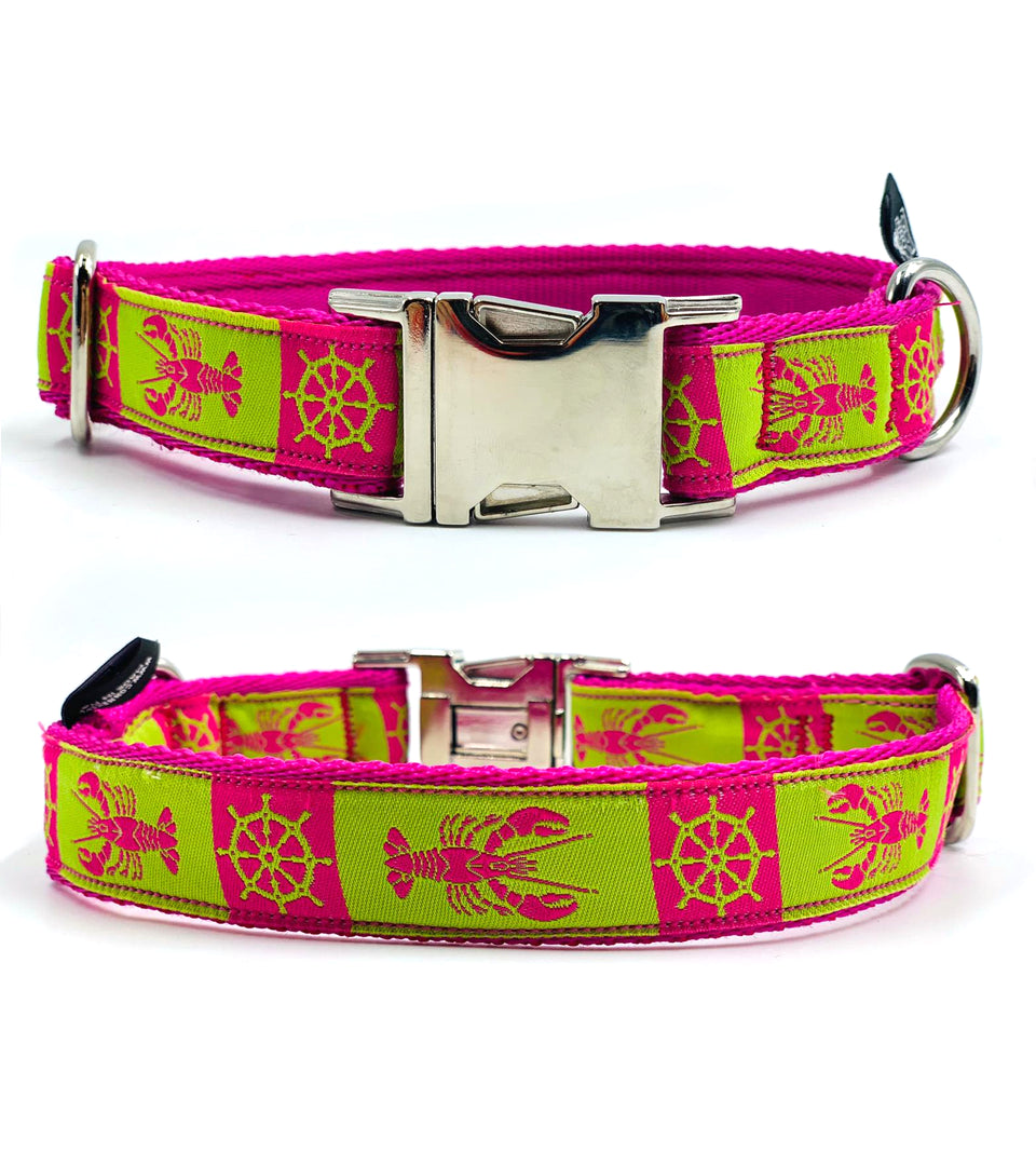 OhMyDog! Collare per cani Pink and Green Lobster - Connecto.dog