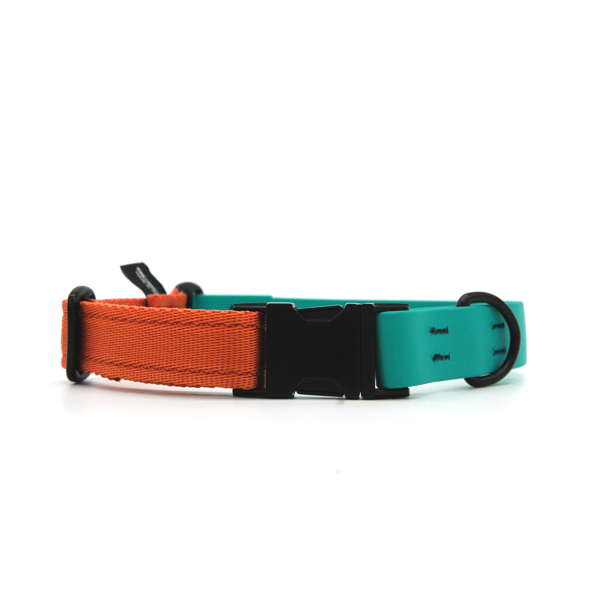 Carnival collare per cani regolabile in biothane Verde Smeraldo e polipropilene - Connecto.dog