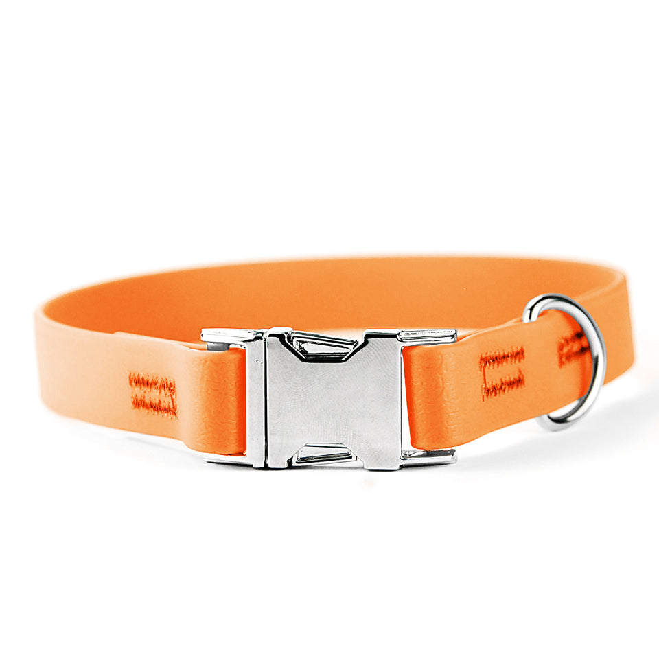 Collare per cani fisso in Biothane® Arancione - Connecto.dog