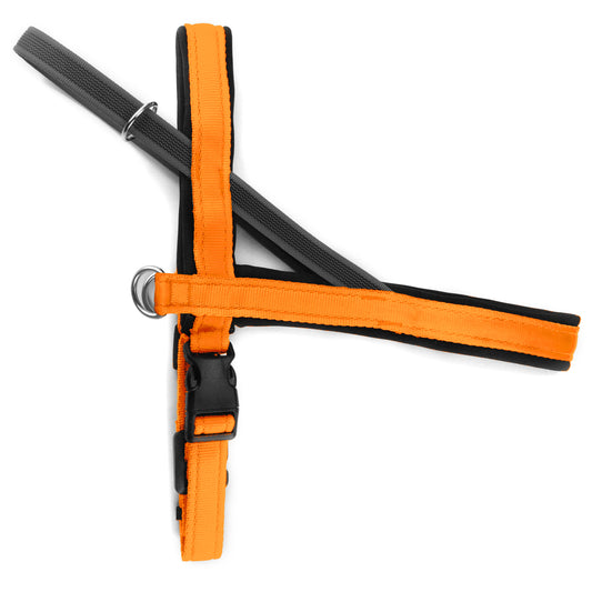 Pettorina Norvegese per cani Arancione – Yosemite Collection - Connecto.dog