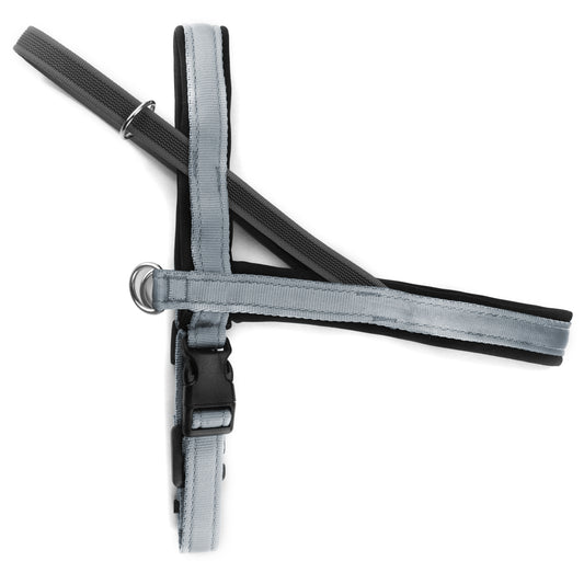 Pettorina Norvegese per cani Grigio Argento – Yosemite Collection - Connecto.dog