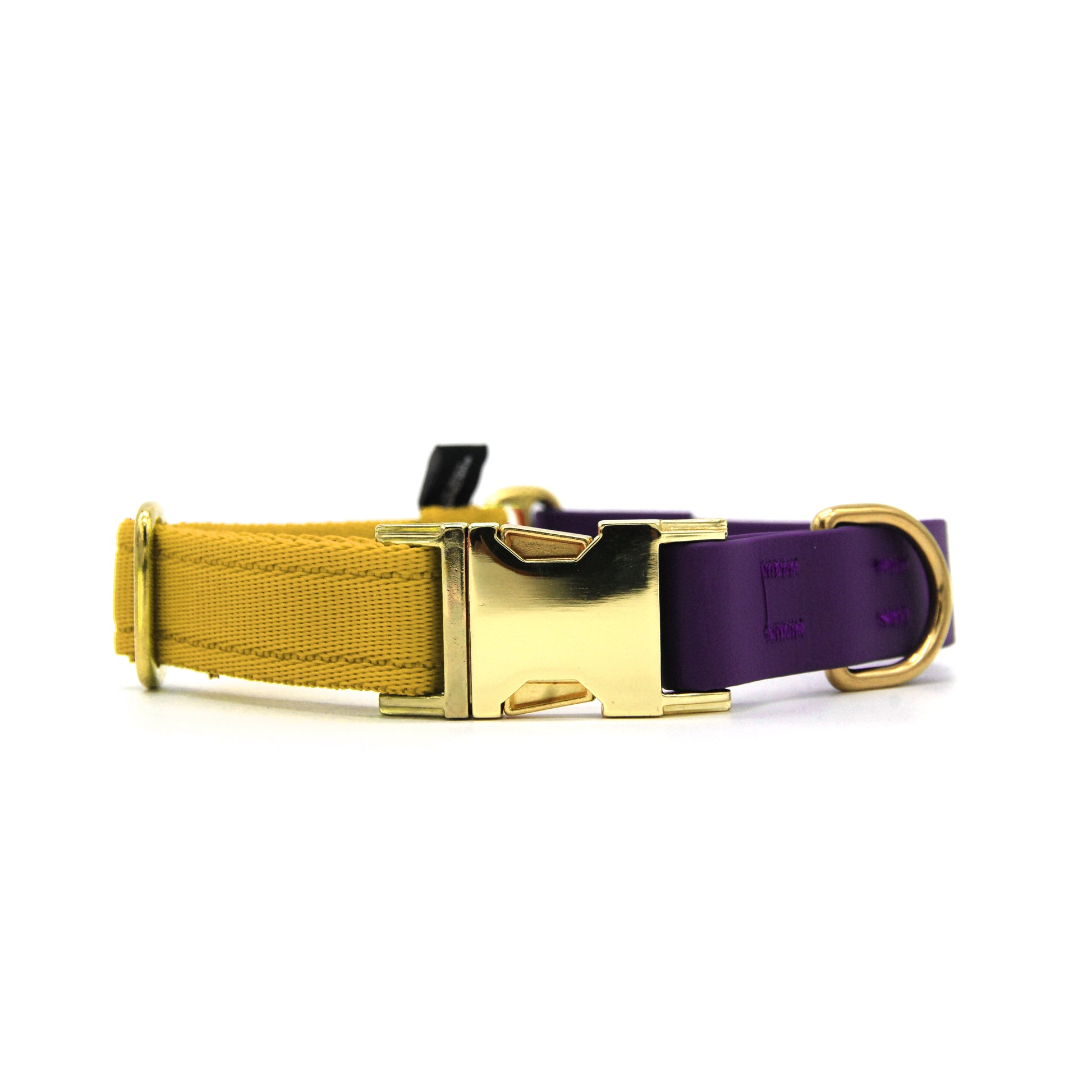 Carnival collare per cani regolabile in biothane viola e polipropilene - Connecto.dog
