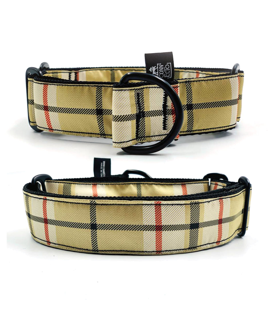 Collare martingala per levrieri jacquard - Connecto.dog