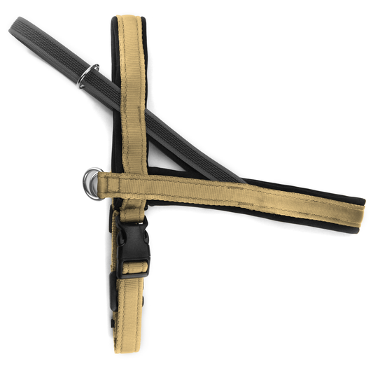 Pettorina Norvegese per cani Beige – Yosemite Collection - Connecto.dog