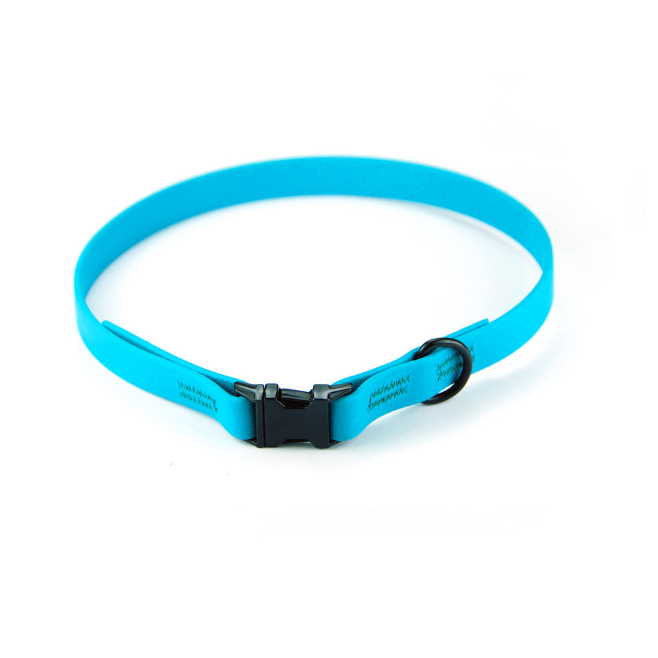 Collare per cani fisso in Biothane® Sky - Connecto.dog