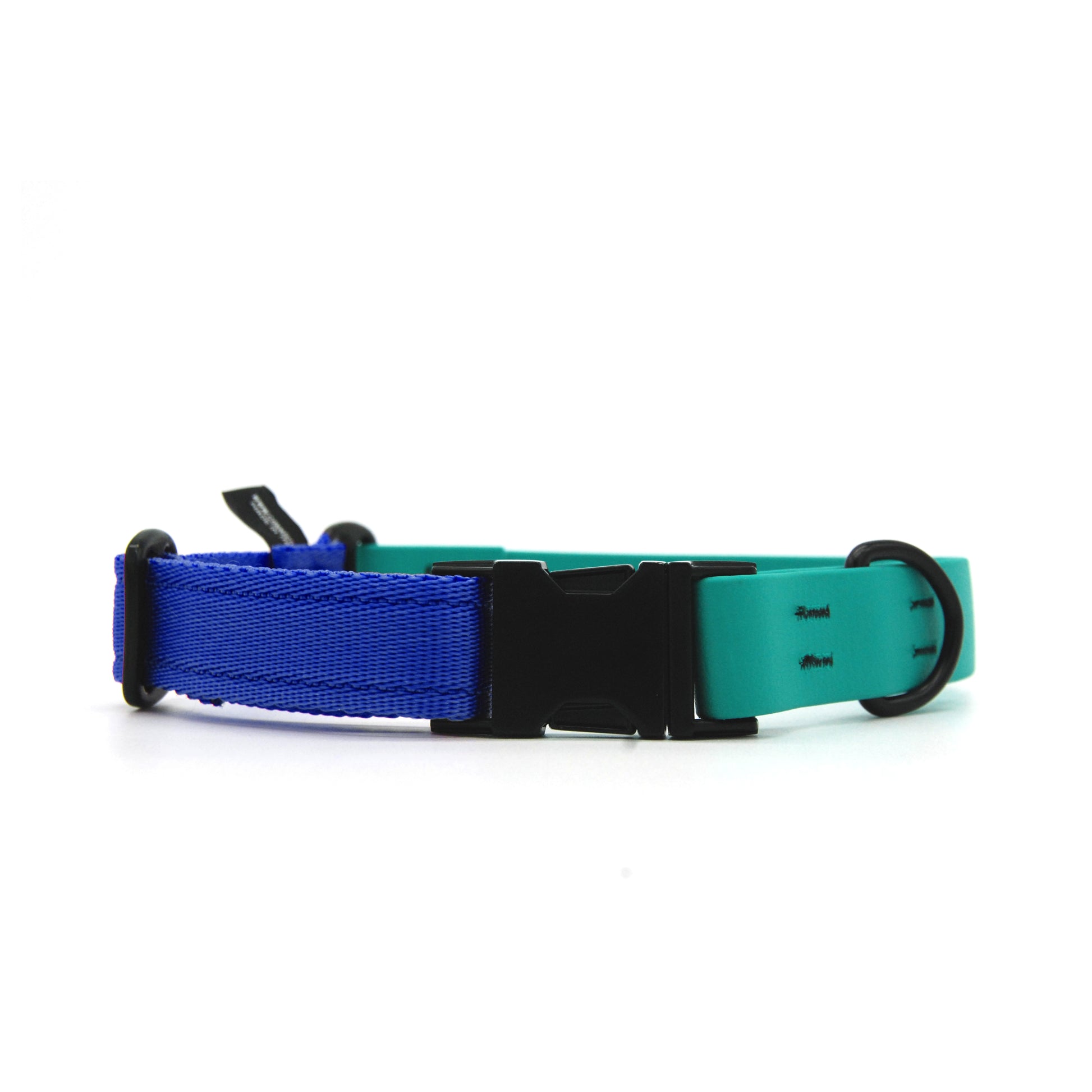 Carnival collare per cani regolabile in biothane Verde Smeraldo e polipropilene - Connecto.dog