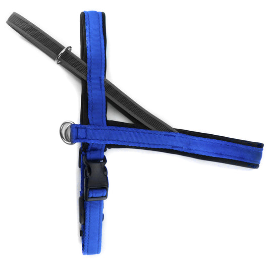 Pettorina Norvegese per cani Blu Elettrico – Yosemite Collection - Connecto.dog