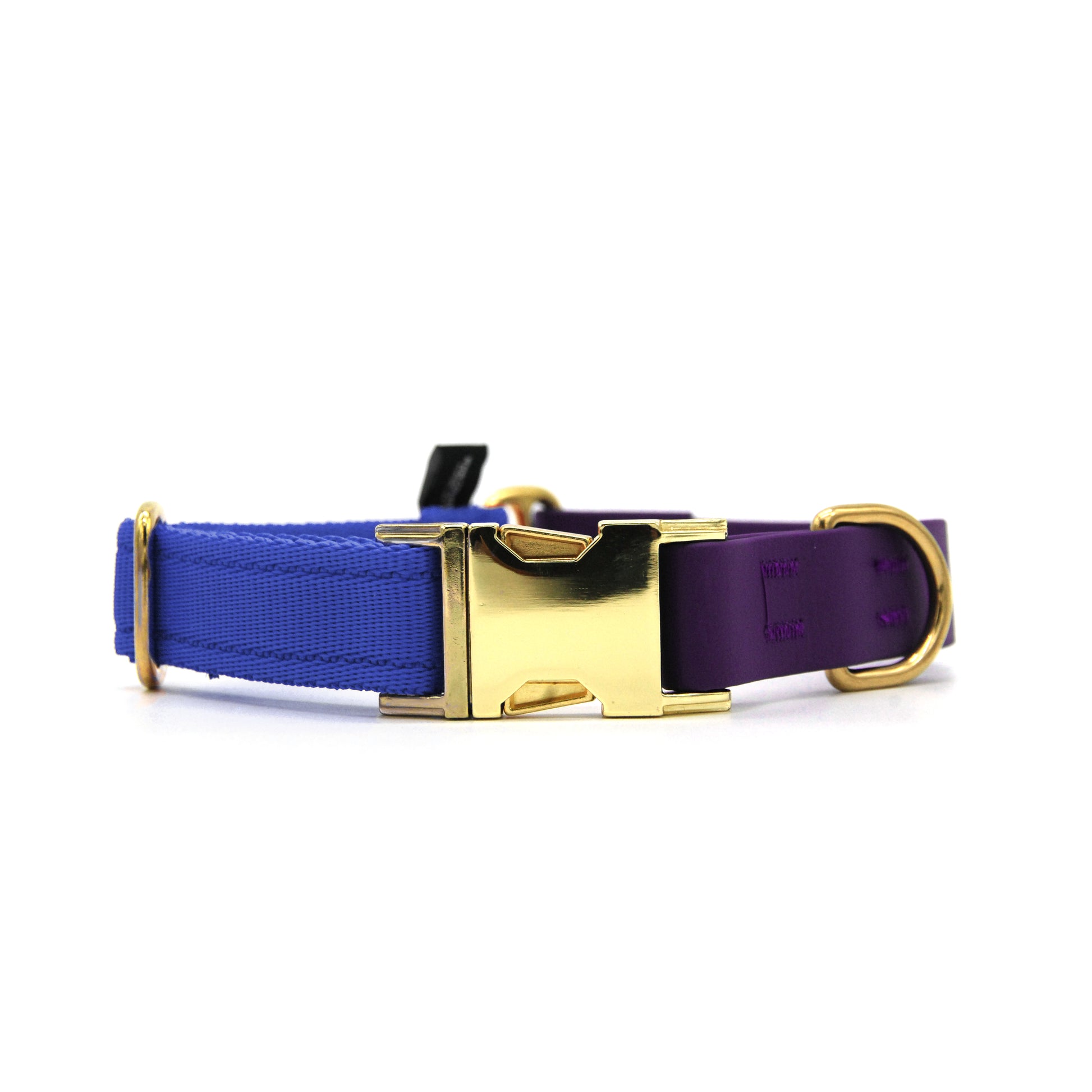 Carnival collare per cani regolabile in biothane viola e polipropilene - Connecto.dog