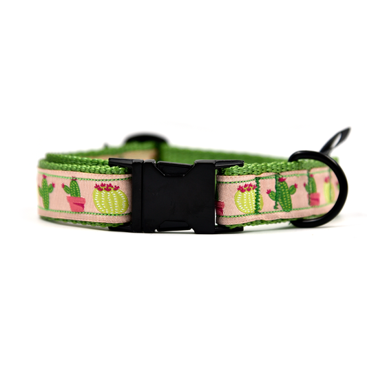 OhMyDog! Collare per cani Cactus on Camel