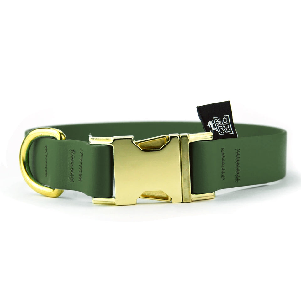 Collare per cani fisso in Biothane® verde militare - Connecto.dog