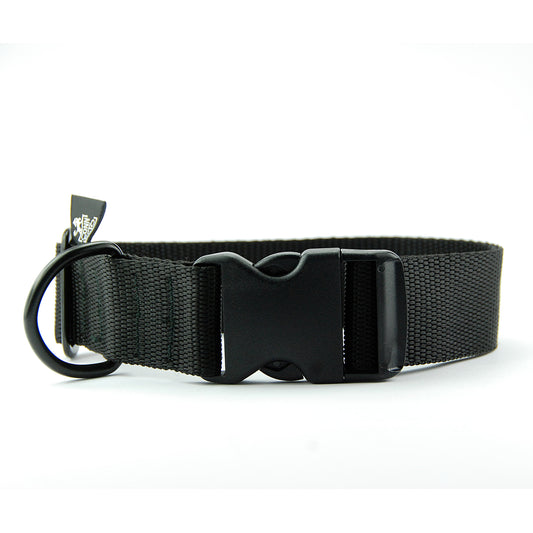 Collare per cani 4cm in polipropilene - Connecto.dog