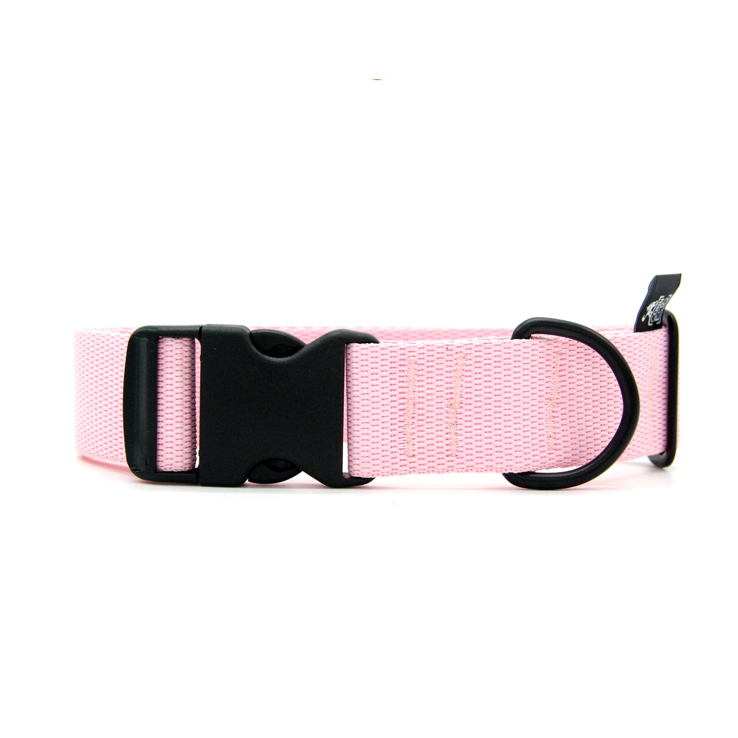 Collare per cani 4cm in polipropilene - Connecto.dog