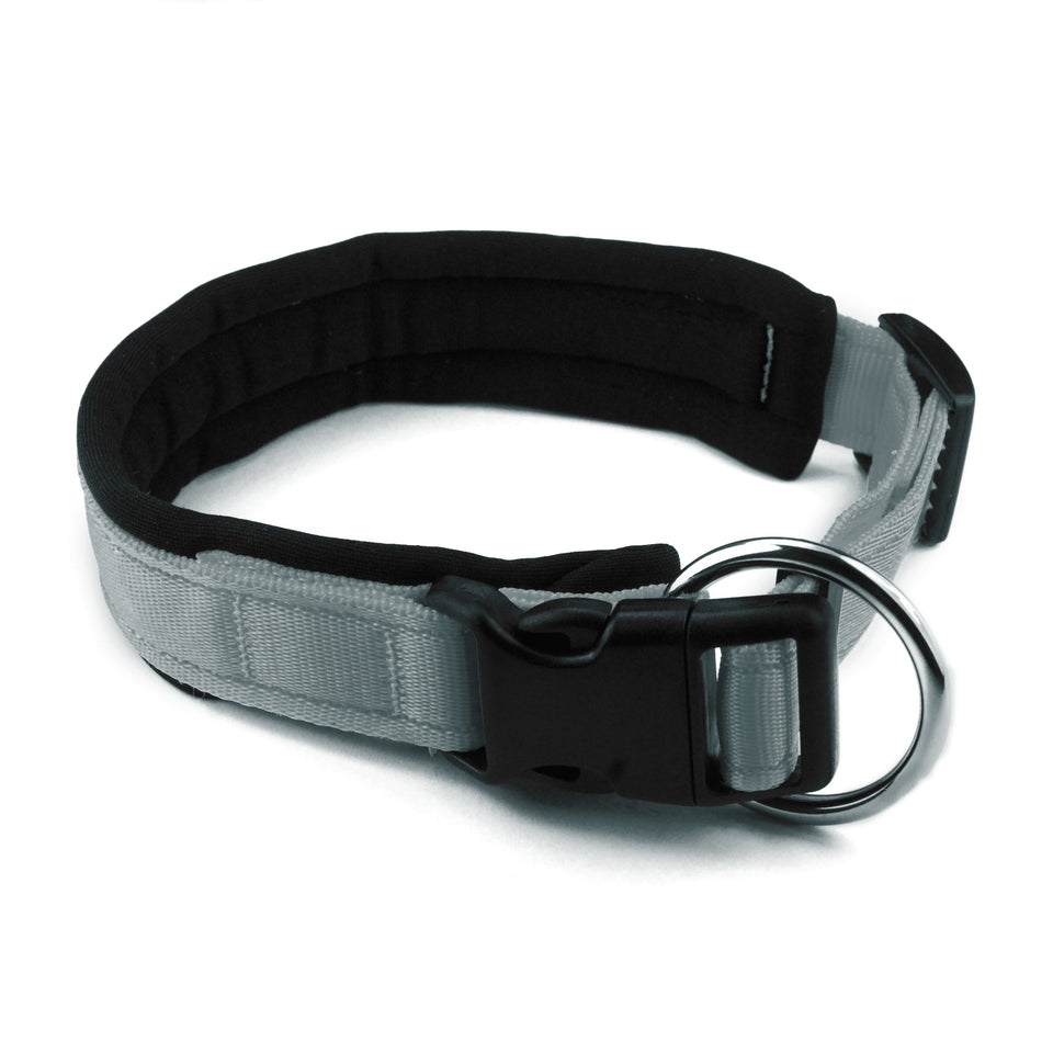 Collare per cani con imbottitura in neoprene Argento – Yosemite Collection - Connecto.dog