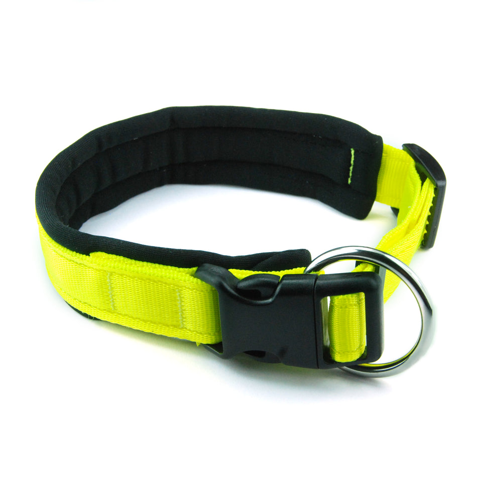 Collare per cani con imbottitura in neoprene Giallo Fluo – Yosemite Collection - Connecto.dog