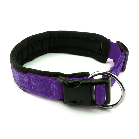 Collare per cani con imbottitura in neoprene Viola – Yosemite Collection - Connecto.dog