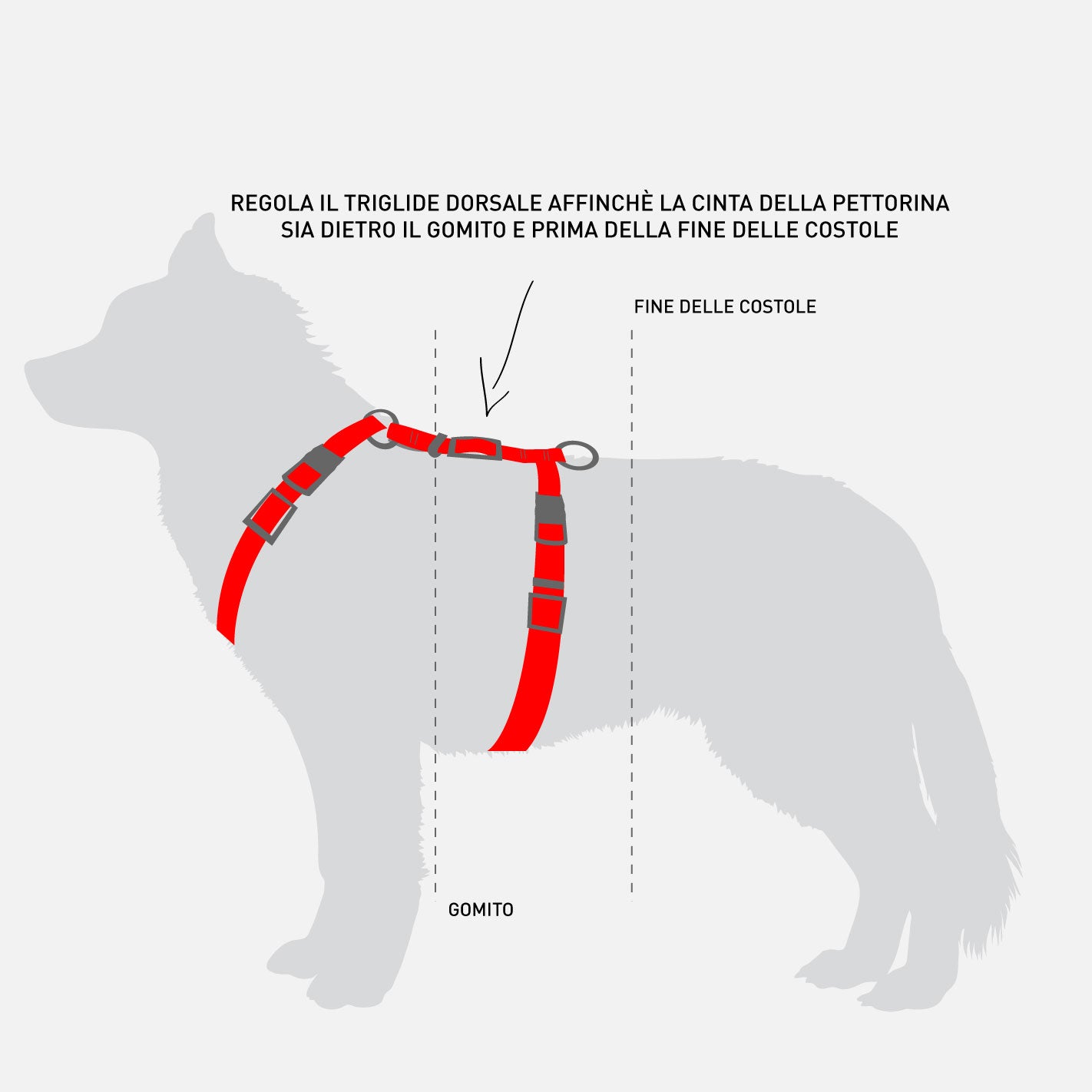 Pettorina ad H per cane Embrace Multicolore - Connecto.dog