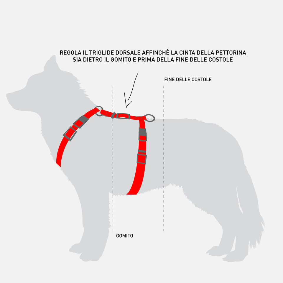 Pettorina ad H per cane Embrace Multicolore - Connecto.dog