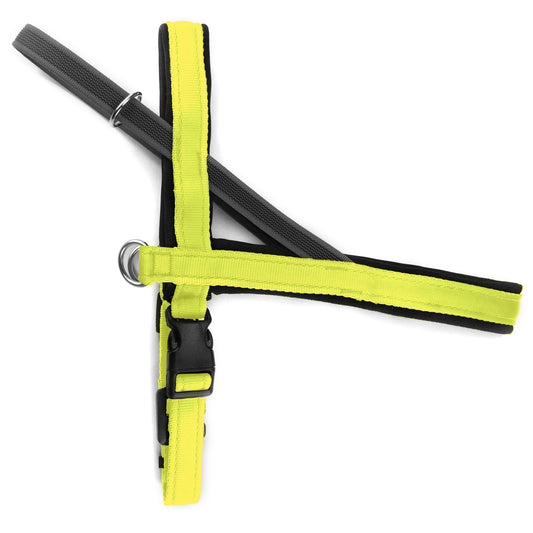 Pettorina Norvegese per cani Giallo Fluo – Yosemite Collection - Connecto.dog