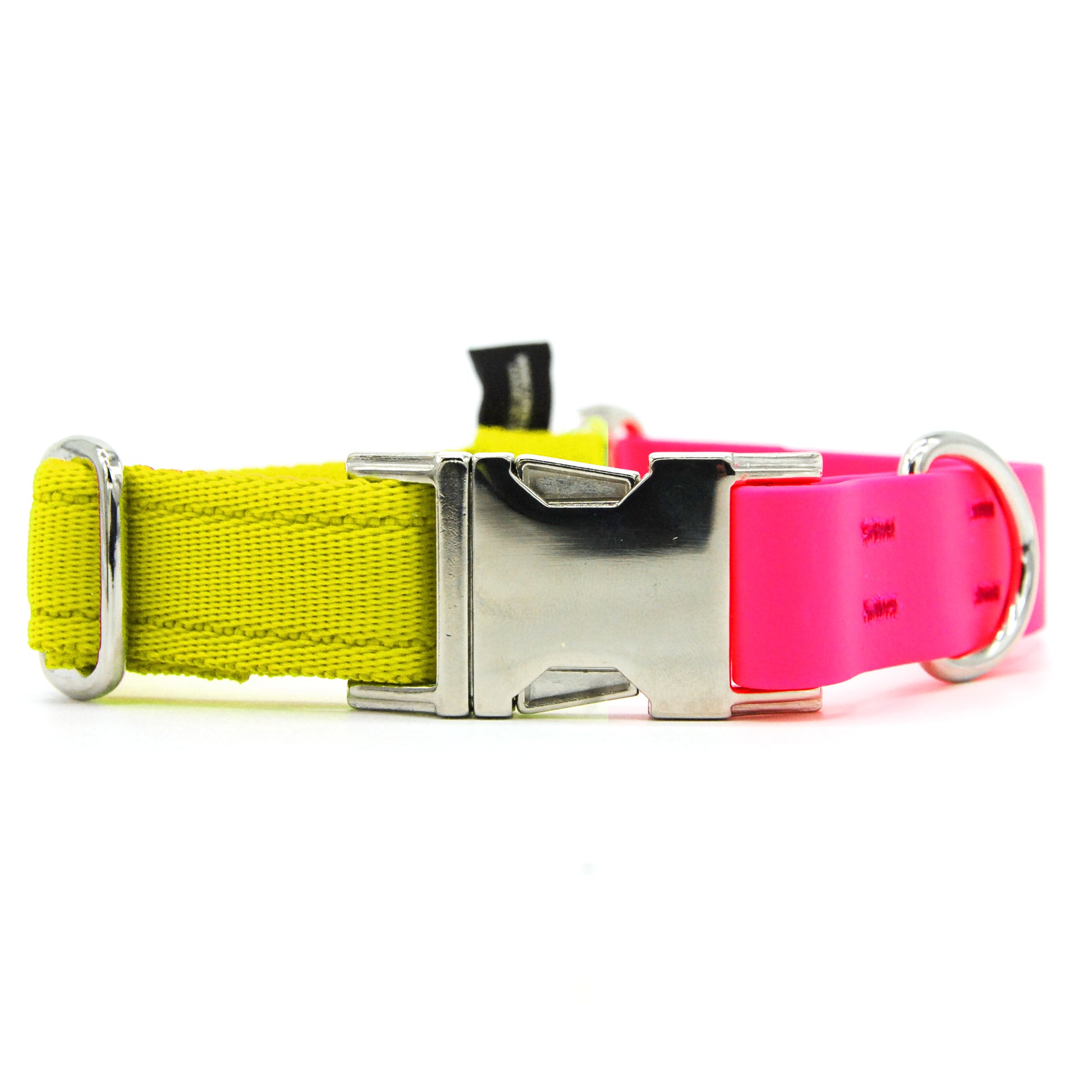 Carnival collare per cani regolabile in biothane fucsia e polipropilene - Connecto.dog