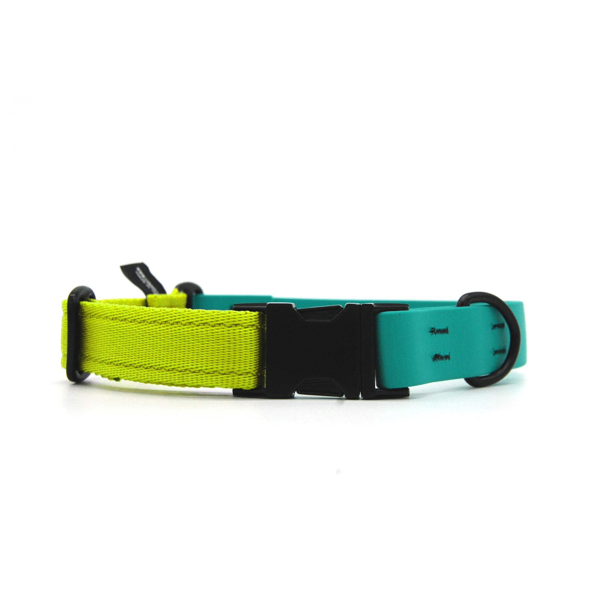 Carnival collare per cani regolabile in biothane Verde Smeraldo e polipropilene - Connecto.dog