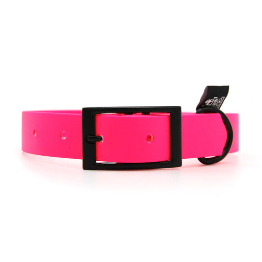 Collare in Biothane 25mm Fucsia regolabile con fibbia in alluminio - Connecto.dog