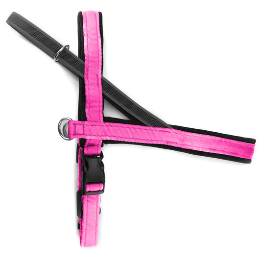 Pettorina Norvegese per cani Fucsia – Yosemite Collection - Connecto.dog
