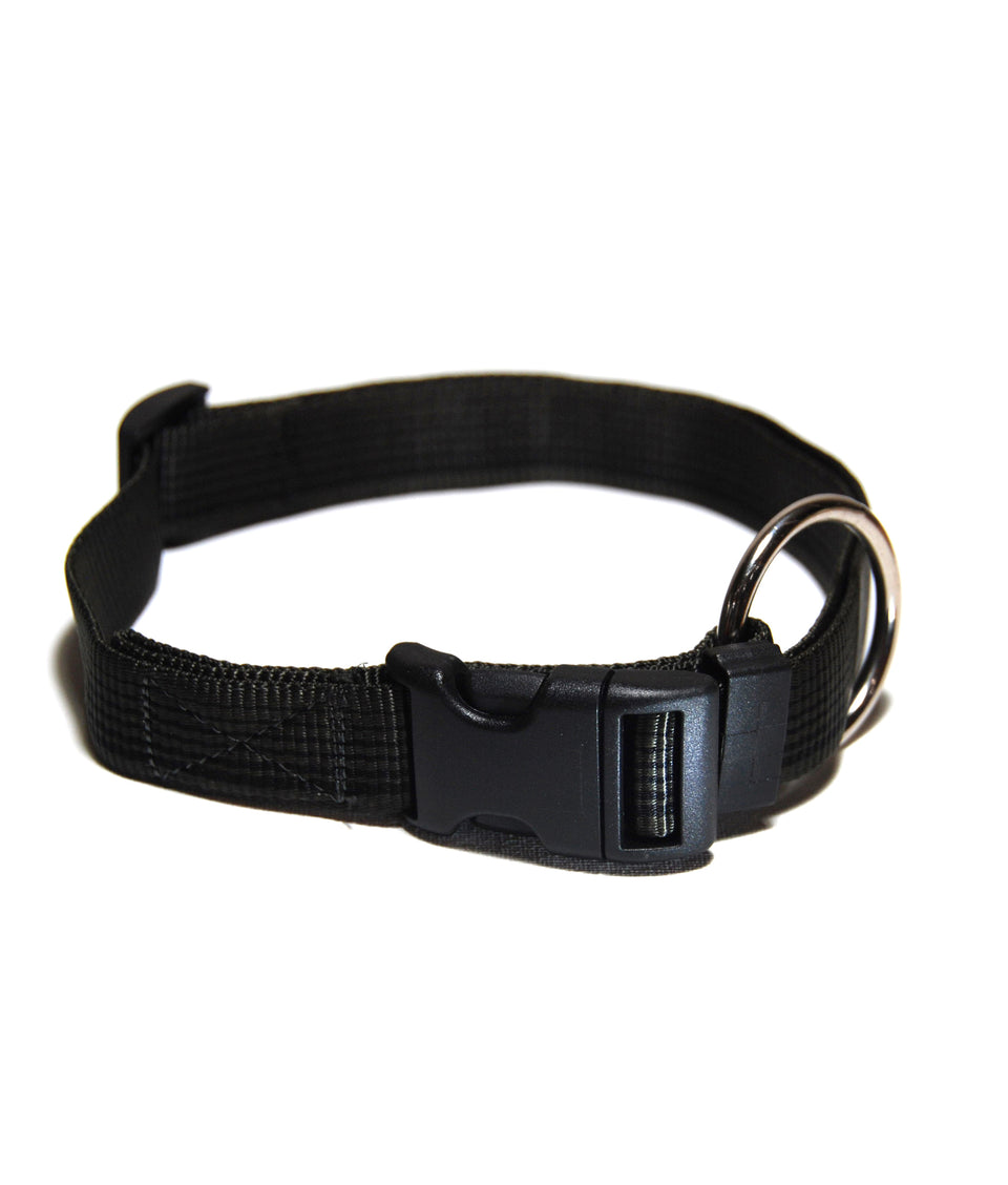 Journey - Collare per cani nero in tubular nylon - Connecto.dog